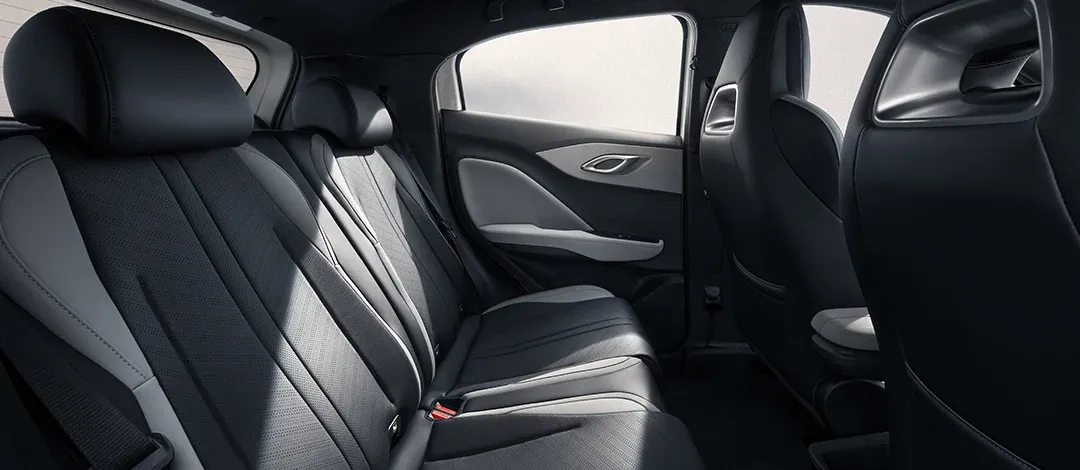 Interior BYD